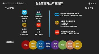 合合信息榮膺2018上海軟件雙百強，以人工智能驅動創新未來